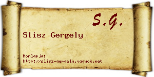 Slisz Gergely névjegykártya